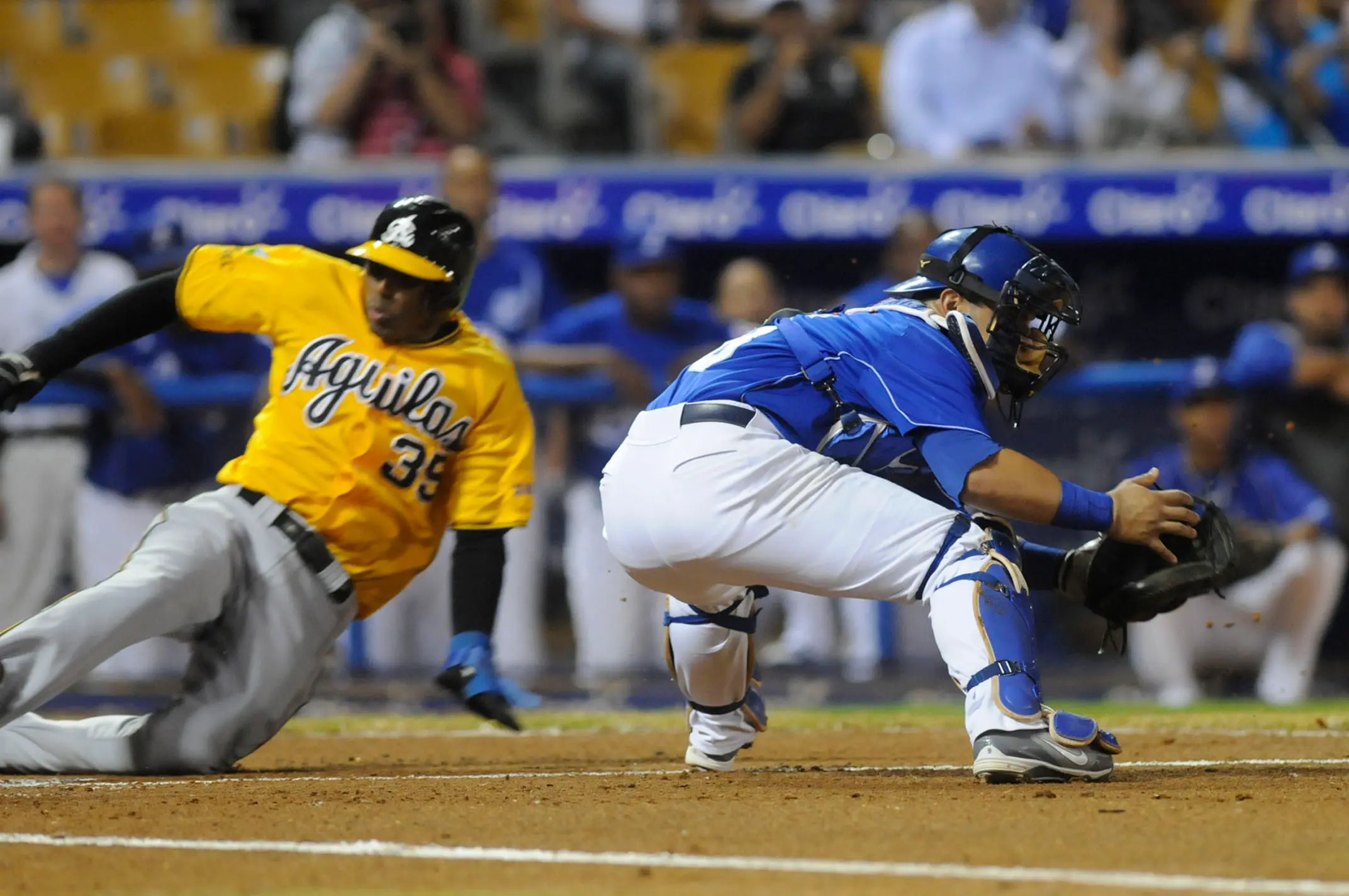 Las Águilas vienen de atrás y derrotan al Licey en entrada extra