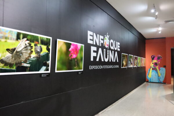 Museo Natural anuncia segunda edición del concurso fotográfico: “Enfoque fauna”