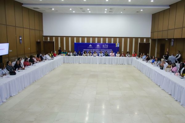 CONANI escucha planteamientos del Colectivo Femenino Internacional por la Democracia, Fundación Princesas del Siglo XXI y ASONADEDI sobre proceso de reforma de la Ley 136-03