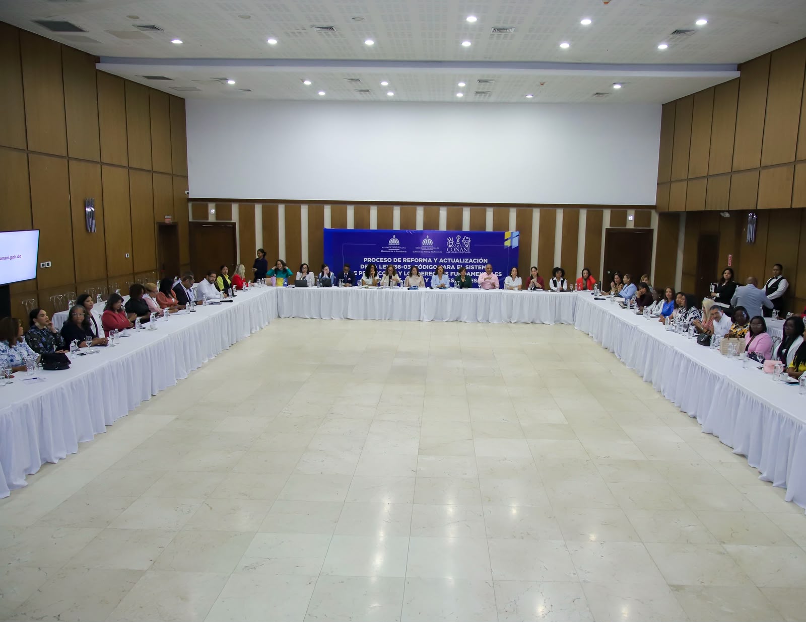 CONANI escucha planteamientos del Colectivo Femenino Internacional por la Democracia, Fundación Princesas del Siglo XXI y ASONADEDI sobre proceso de reforma de la Ley 136-03